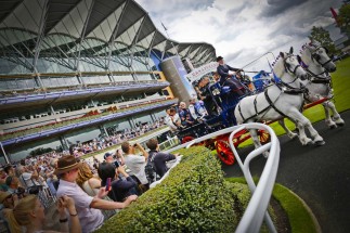 Ascot - Parade Ring